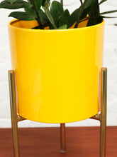 Load image into Gallery viewer, Medium Yellow Planter with gold base
