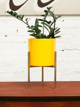 Load image into Gallery viewer, Medium Yellow Planter with gold base
