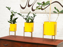 Load image into Gallery viewer, Small Yellow Planter with gold base
