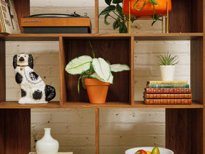 Bailey Shelf with Storage