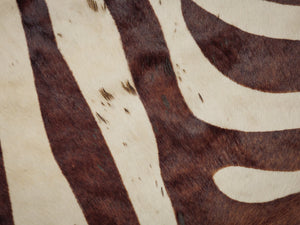 Zebra Safari cowhide rug