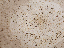 Load image into Gallery viewer, Large Studio Pottery Shallow Bowl
