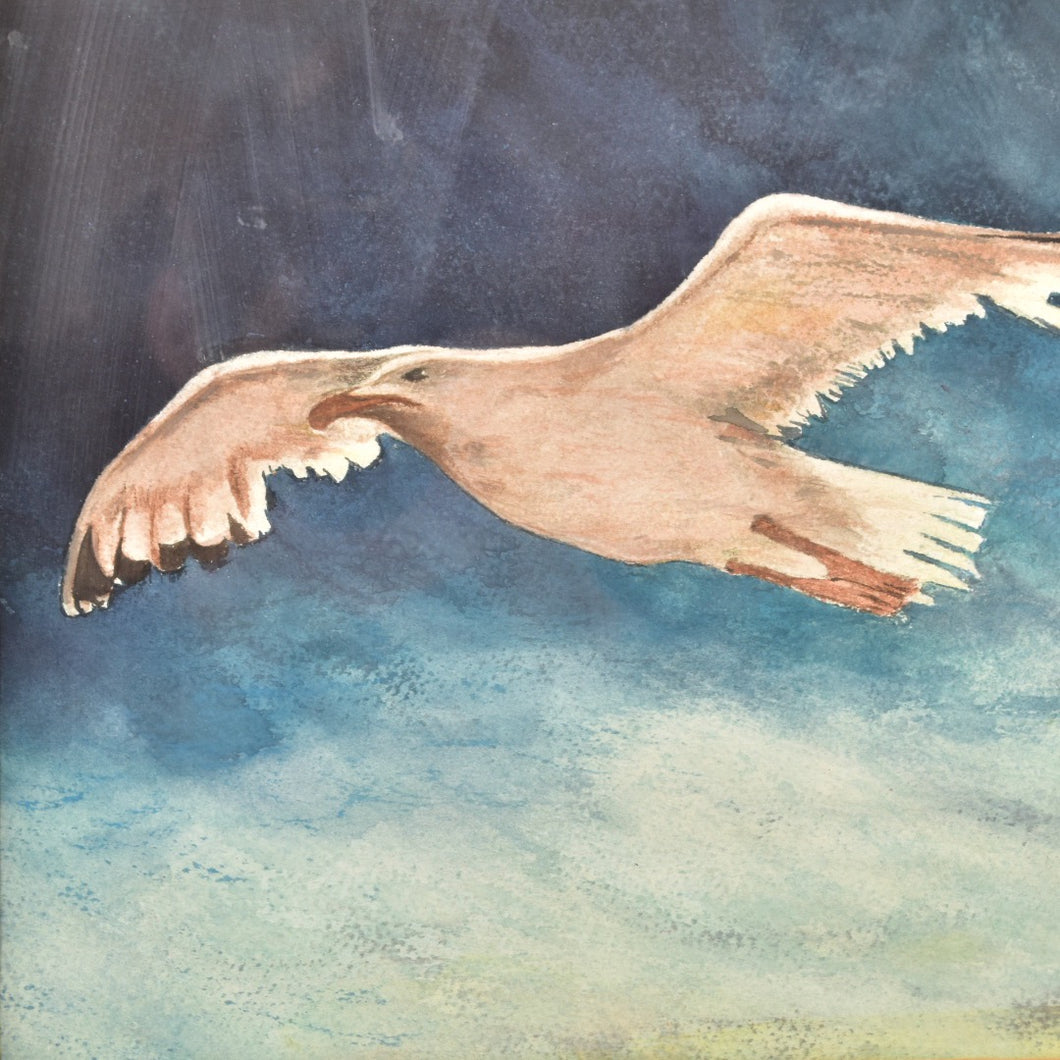 Seagull Watercolor art