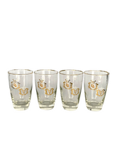 Load image into Gallery viewer, Vintage Rx Pharmacy Medical Cocktail Glasses Set
