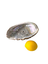 Load image into Gallery viewer, Large Sea Shell
