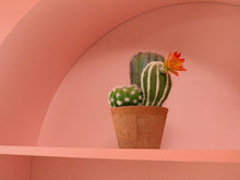 Load image into Gallery viewer, Sunbeam Pink Shelf

