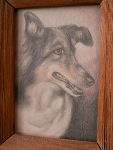 Dog Painting Art
