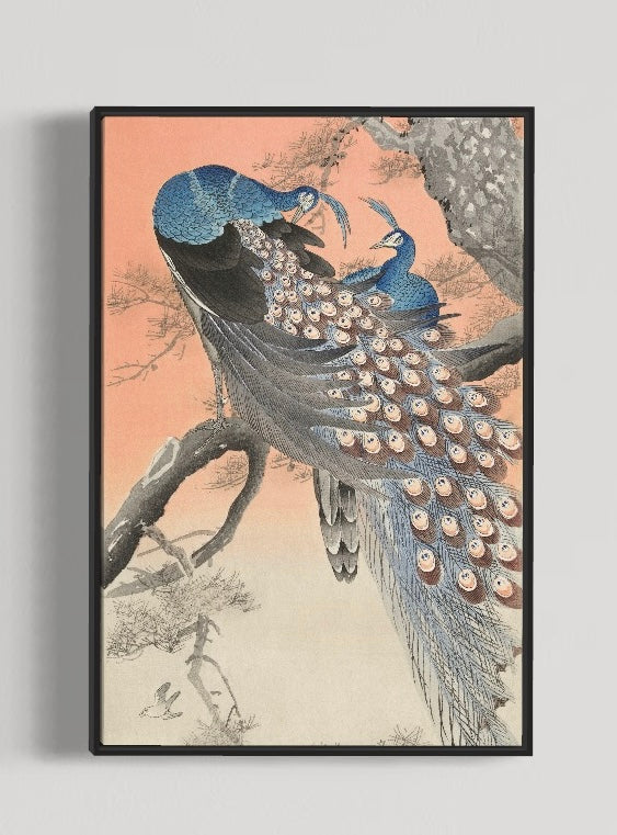 Japanese Peacock – Sunbeam Vintage