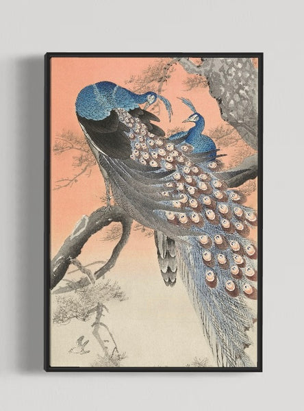 image_30b43fbb-9c22-42ba-b664-