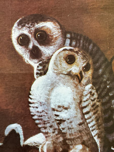 Small Vintage Owl Framed #2
