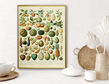Load image into Gallery viewer, Vegetable Garden Poster
