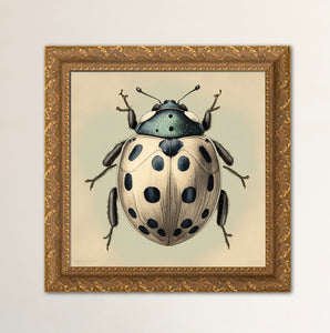 Lady Bug Framed