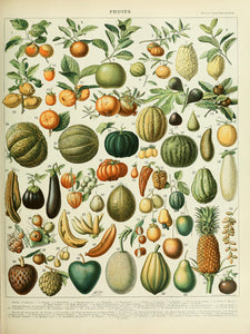 Vegetable Garden Poster