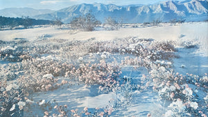 Art Poster Snowy Fields